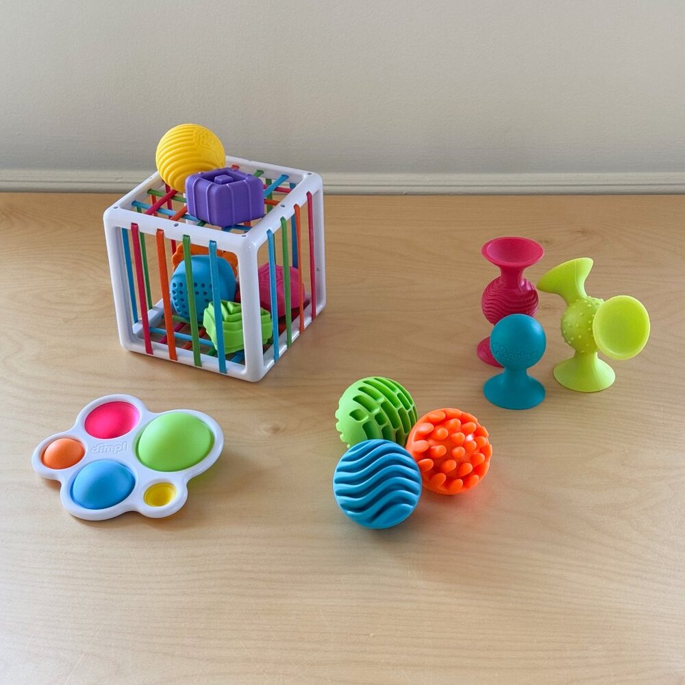 Fat Brain Baby Toy Bundle - 6 Months+